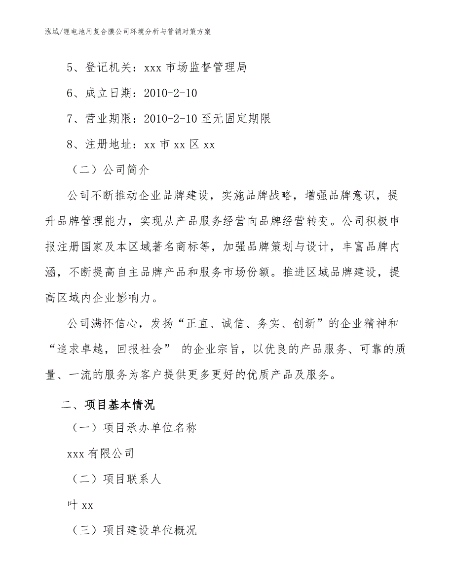 锂电池用复合膜公司环境分析与营销对策方案_第3页