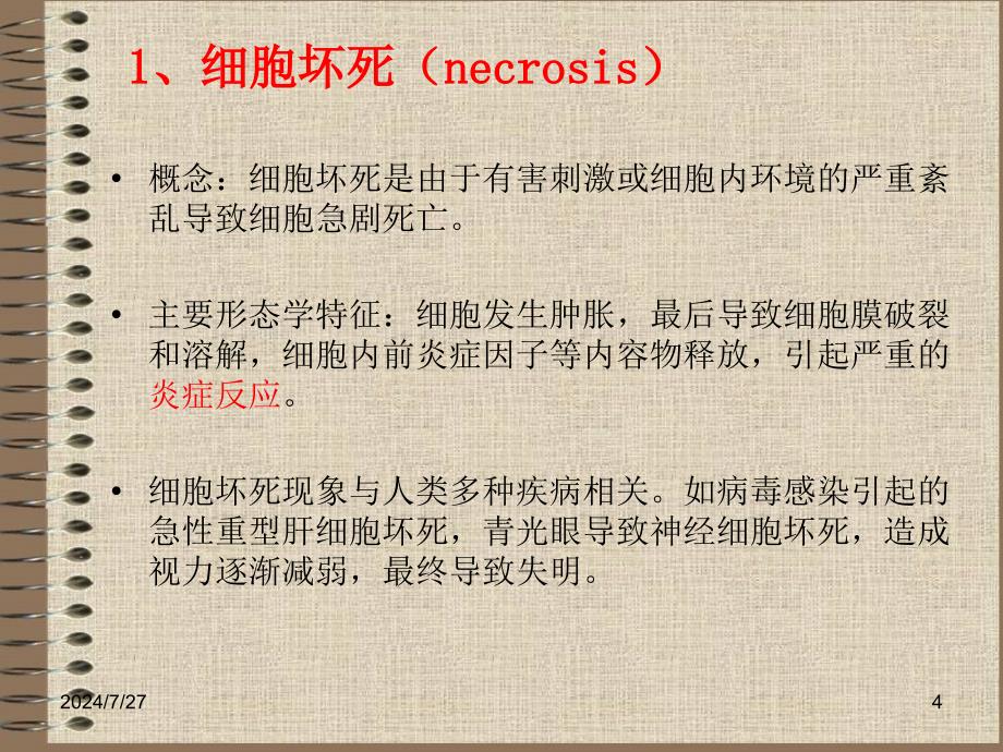 遗传毒物与细胞死亡资料课件_第4页