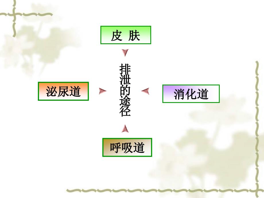 排泄排尿的护理ppt_第2页