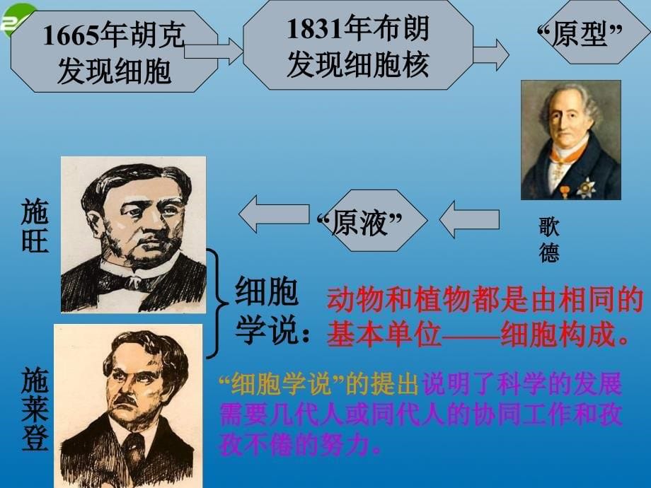 七年级科学上册 2.2 细胞课件1 浙教版_第5页