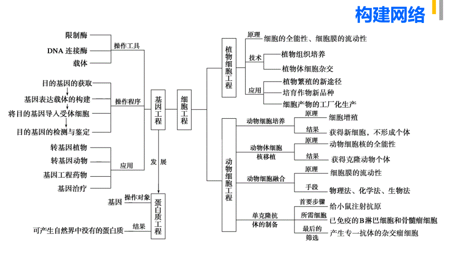 高中生物二轮复习教案【课时讲课】_第3页