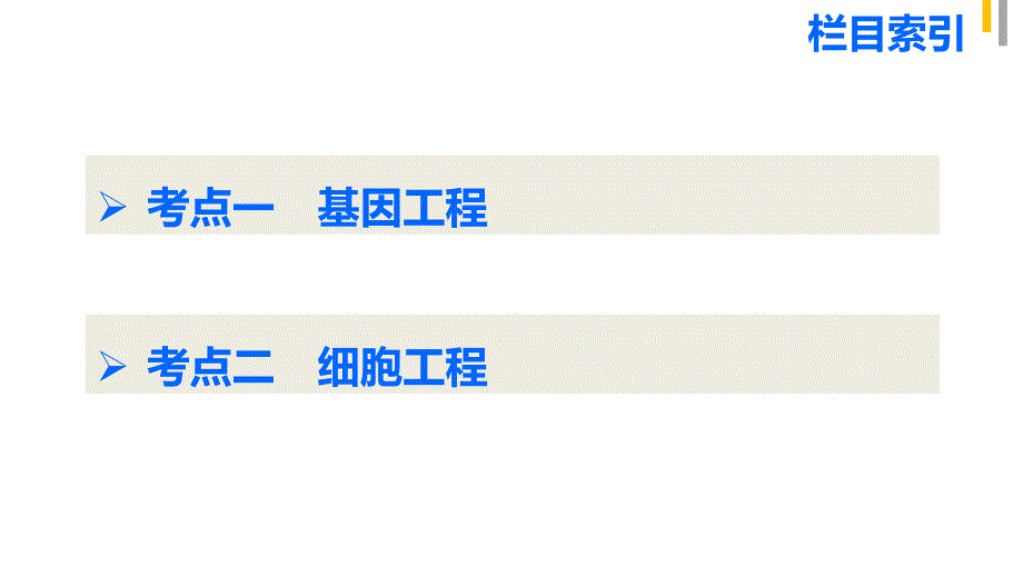 高中生物二轮复习教案【课时讲课】_第4页