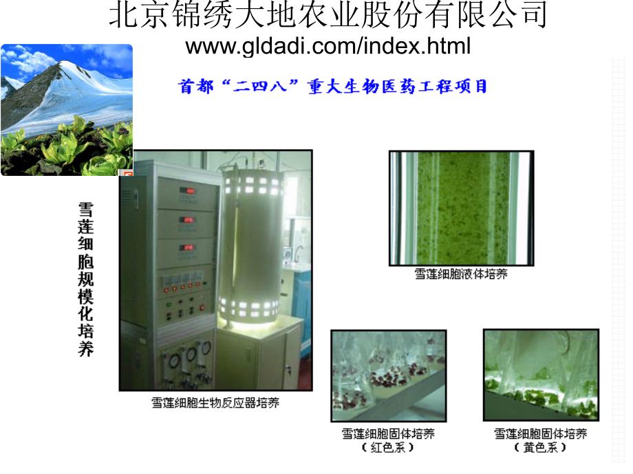 植物细胞悬浮培养及次生代谢产物生产_第3页