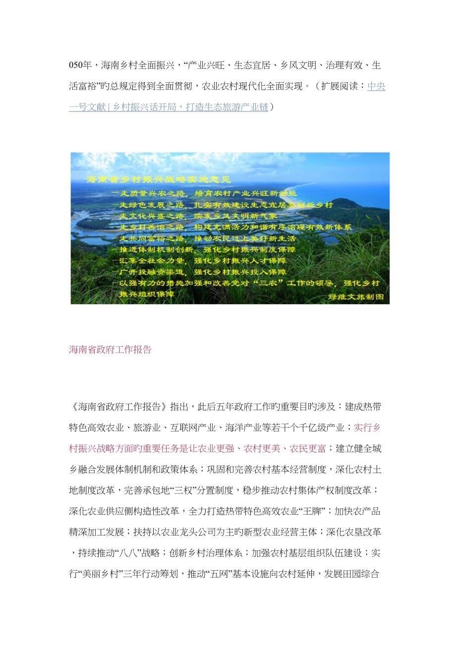 2022海南乡村振兴如何打好热带特色高效农业这张王牌_第5页