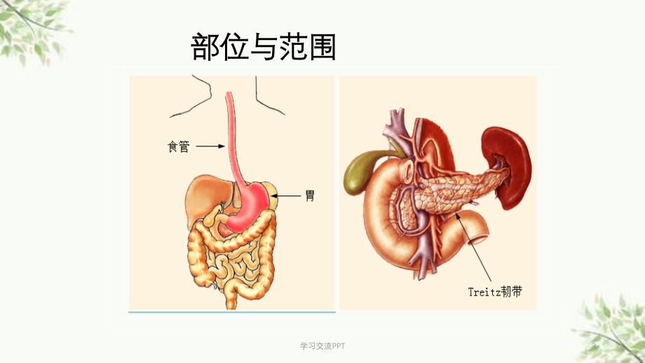 消化道出血的护理要点课件_第3页