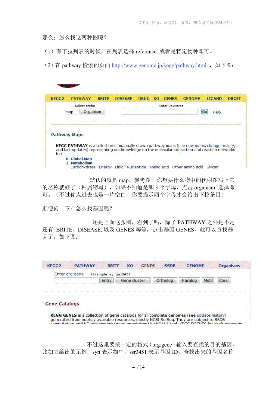 KEGG数据库的使用说明_第4页