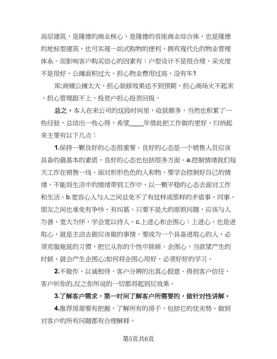 房产置业顾问个人工作总结标准范本（2篇）.doc_第5页