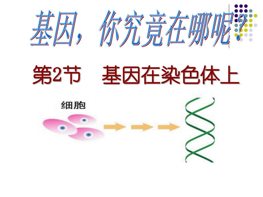 基因在染色体上公开课_第1页