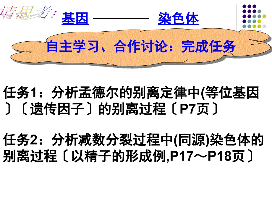 基因在染色体上公开课_第3页