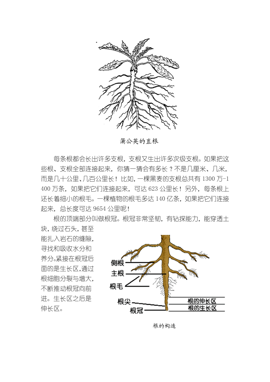 菜园里的学问_第3页