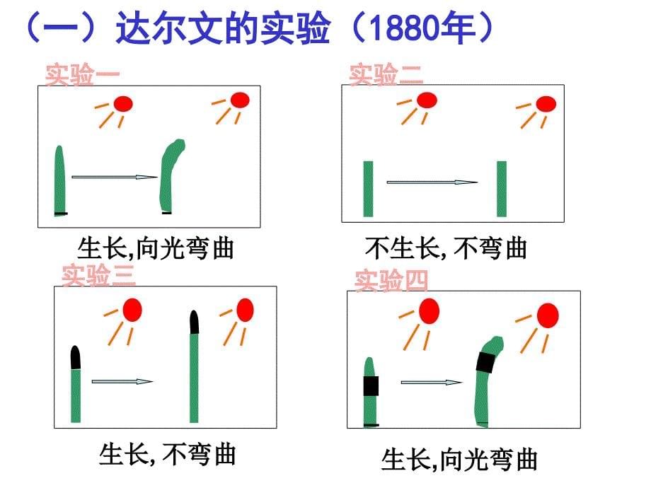 高中生物必修三31植物生长素的发现课件教案_第5页