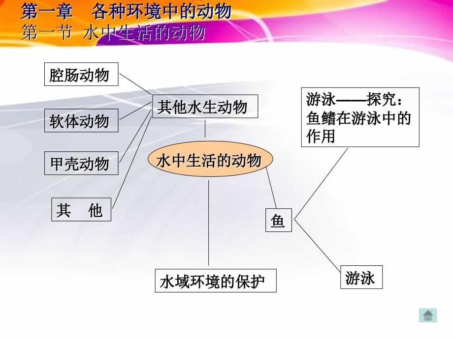 八年级生物总复习上册_第5页