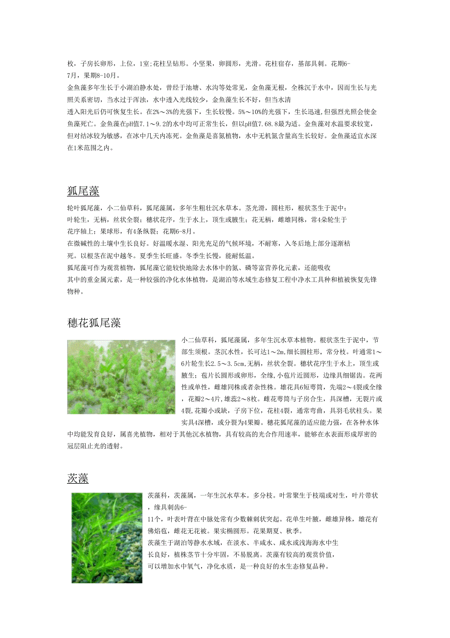 沉水植物区分大总结藻类_第2页