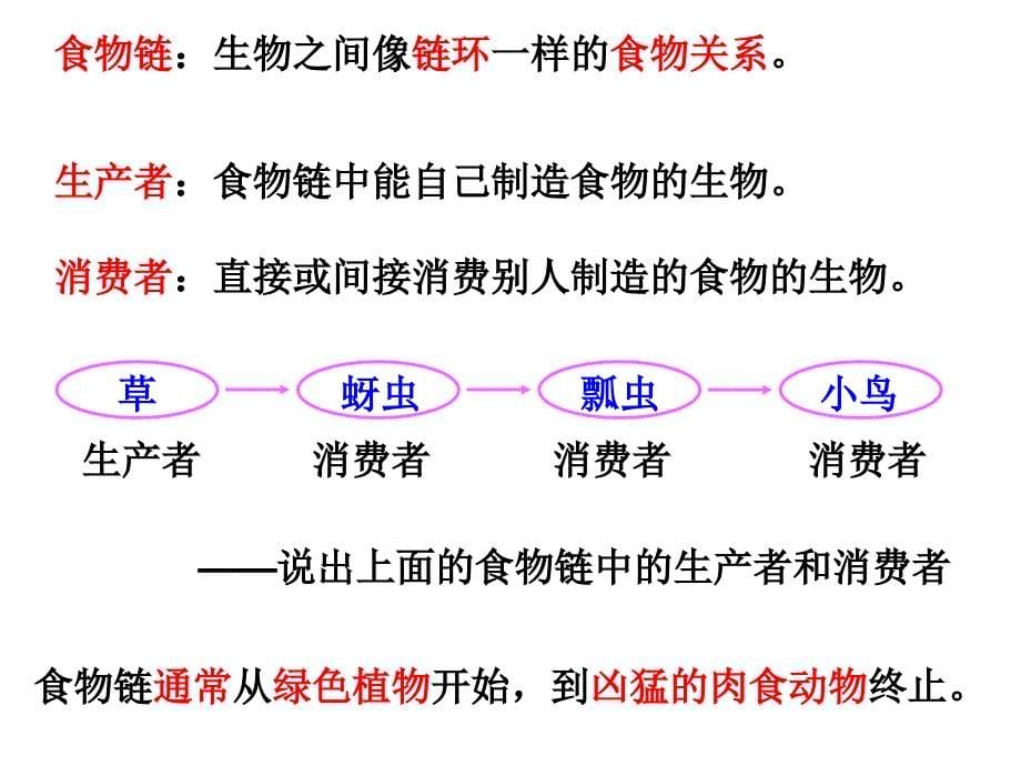 五年级上册科学课件1.5食物链和食物网教科版_第5页