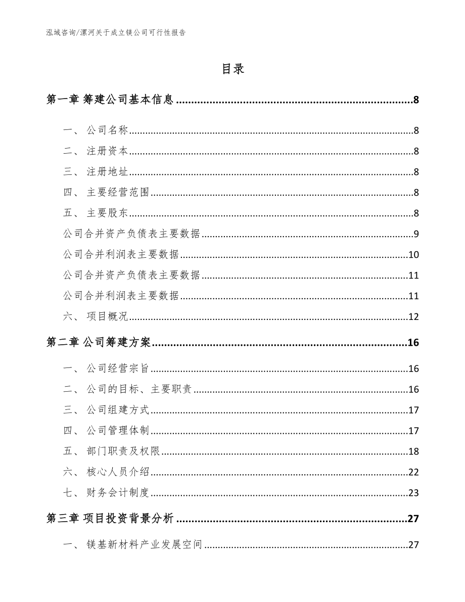漯河关于成立镁公司可行性报告_参考模板_第2页