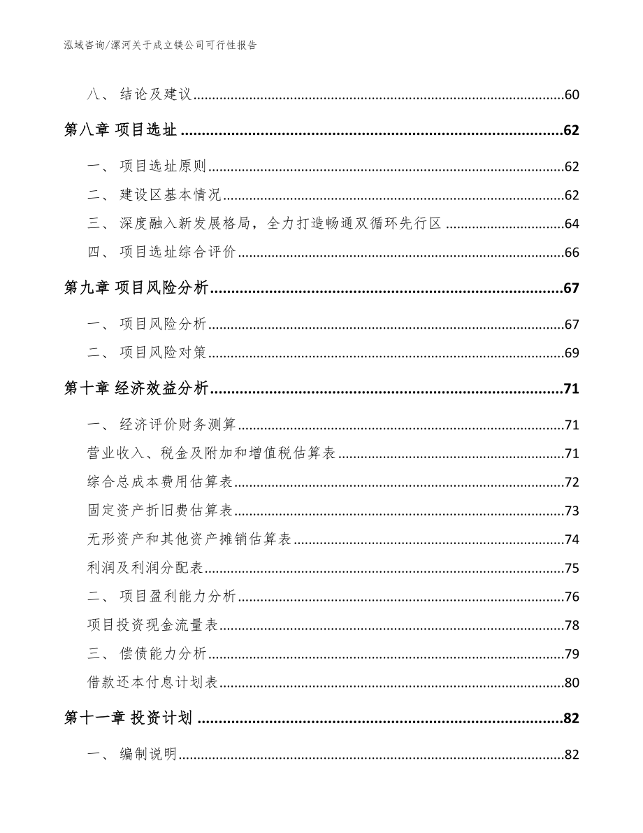 漯河关于成立镁公司可行性报告_参考模板_第4页