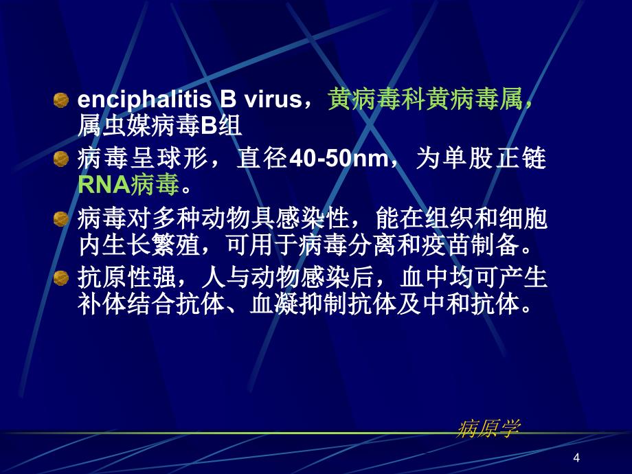 西医传染病学-流行性乙型脑炎课件_第4页