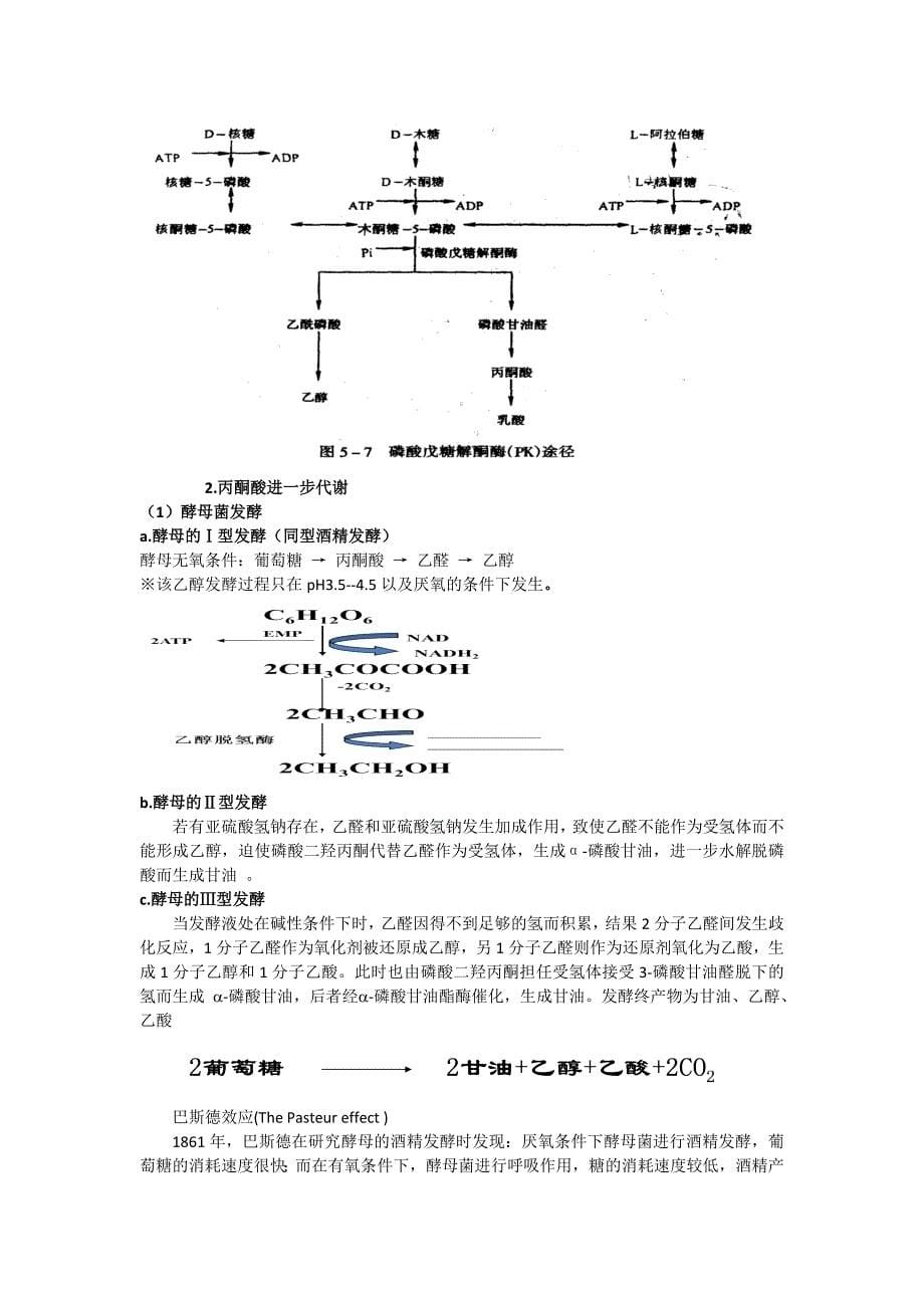 微生物第四章.doc_第5页