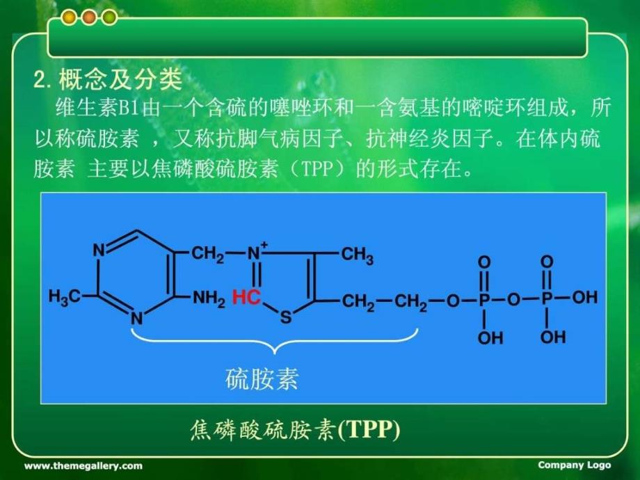 其他维生素等PPT课件_第4页