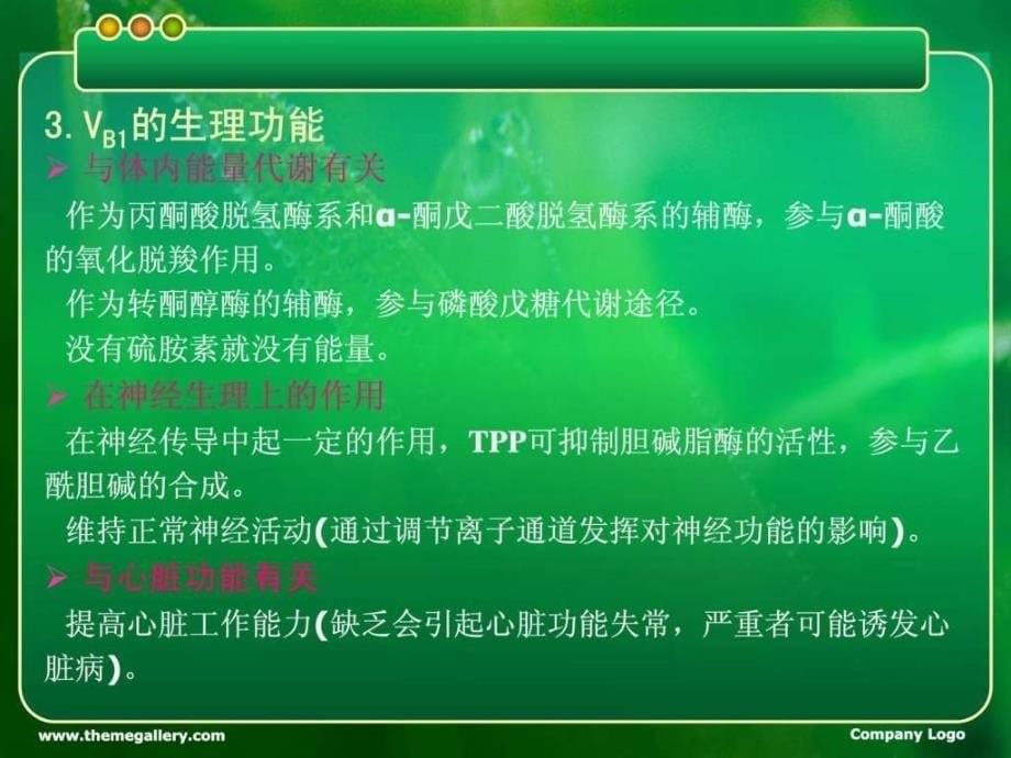 其他维生素等PPT课件_第5页