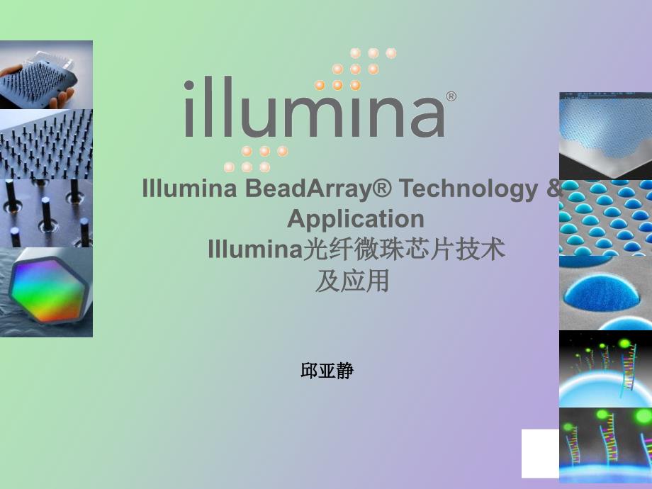 Illumina光纤微珠芯片技术_第1页