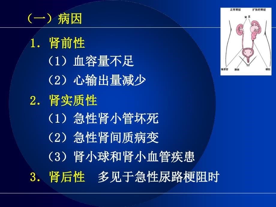 急性肾功能衰竭1_第5页