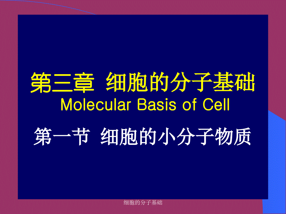 细胞的分子基础课件_第1页