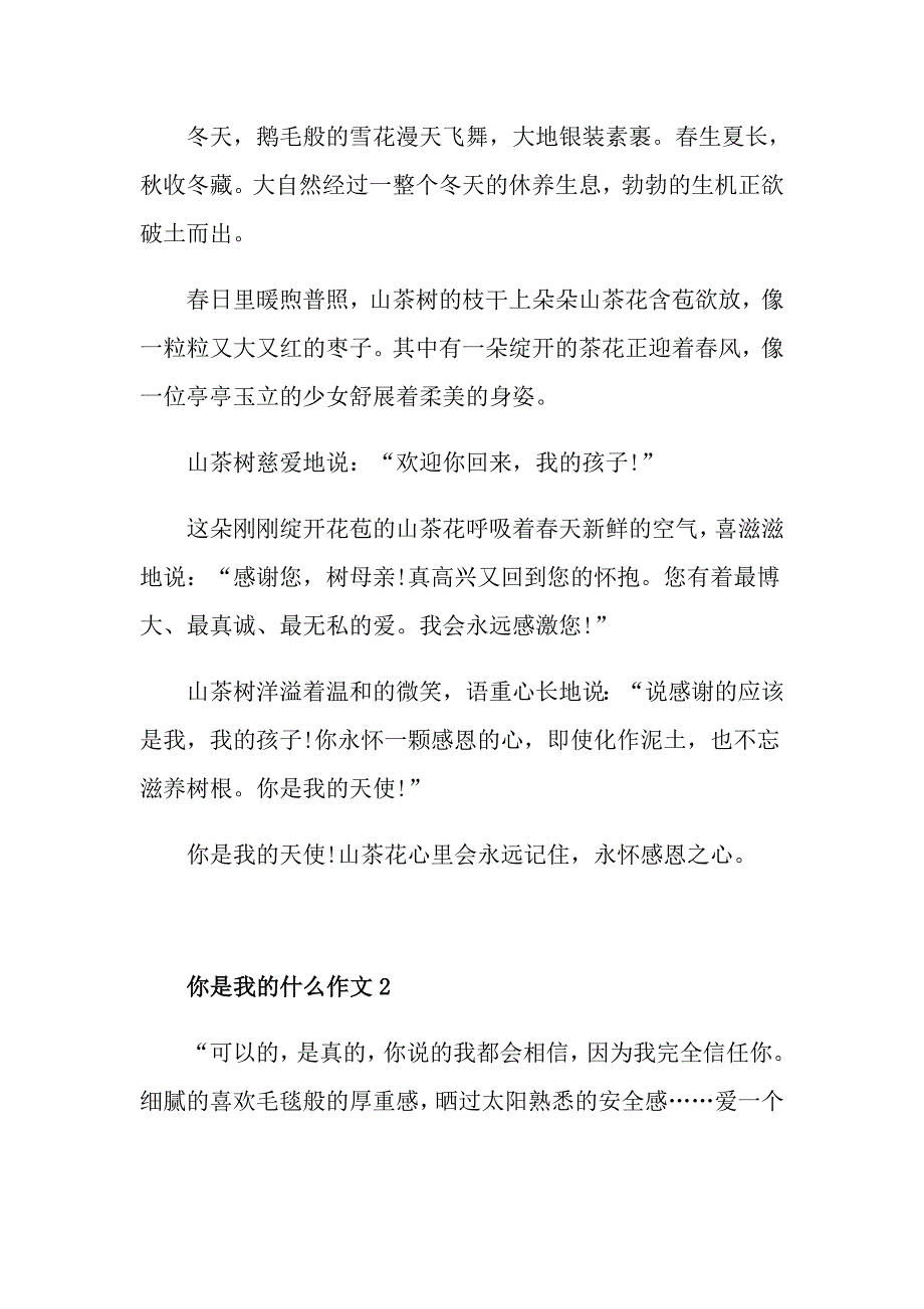 七年级作文你是我的什么600字_第2页