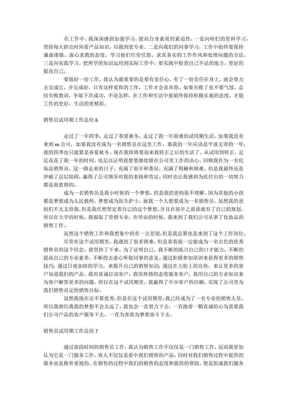 销售员试用期工作总结.docx_第5页