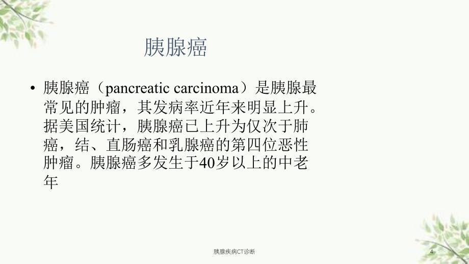 胰腺疾病CT诊断课件_第4页