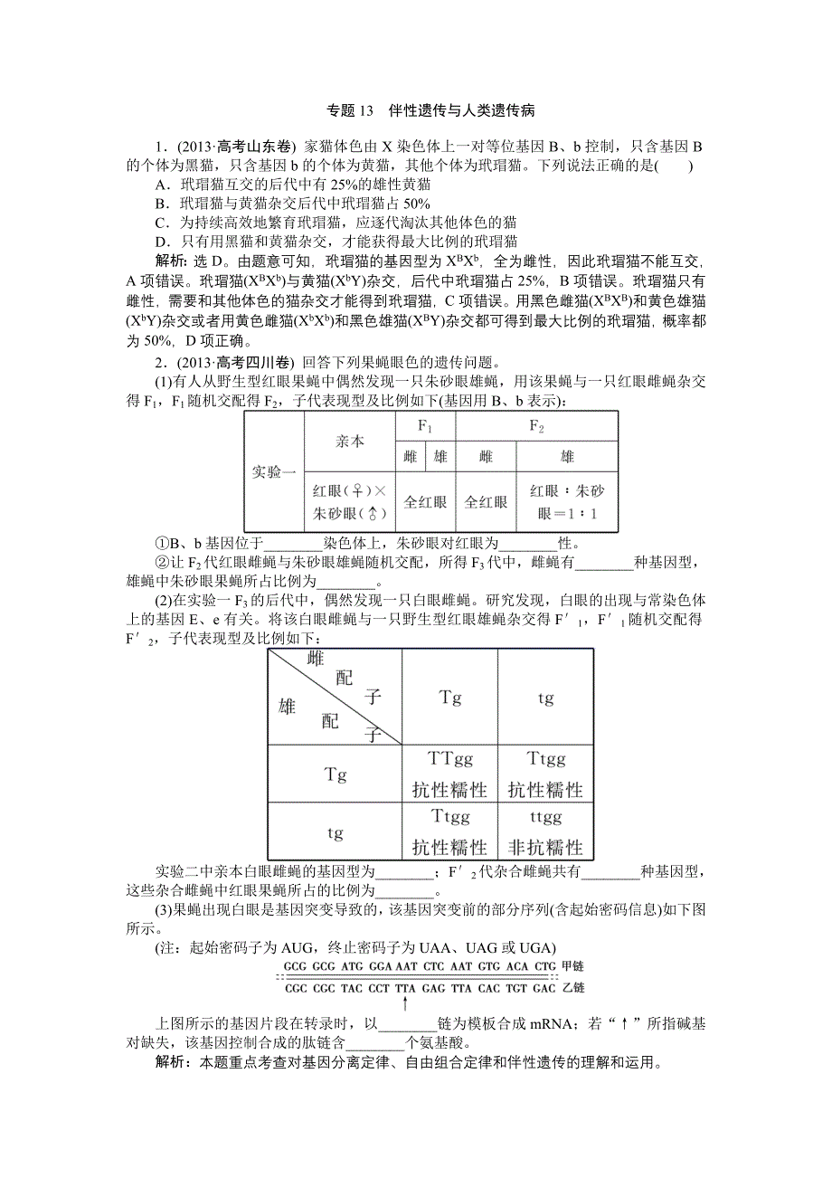 第五单元专题13伴性遗传与人类遗传病_第1页