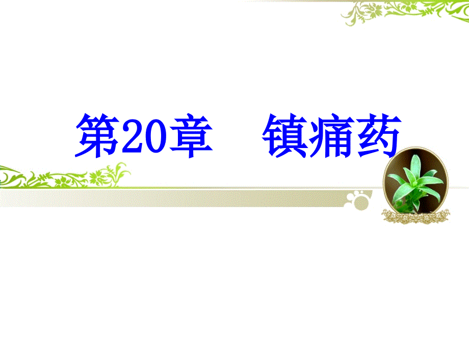 第20章镇痛药护理专科_第1页