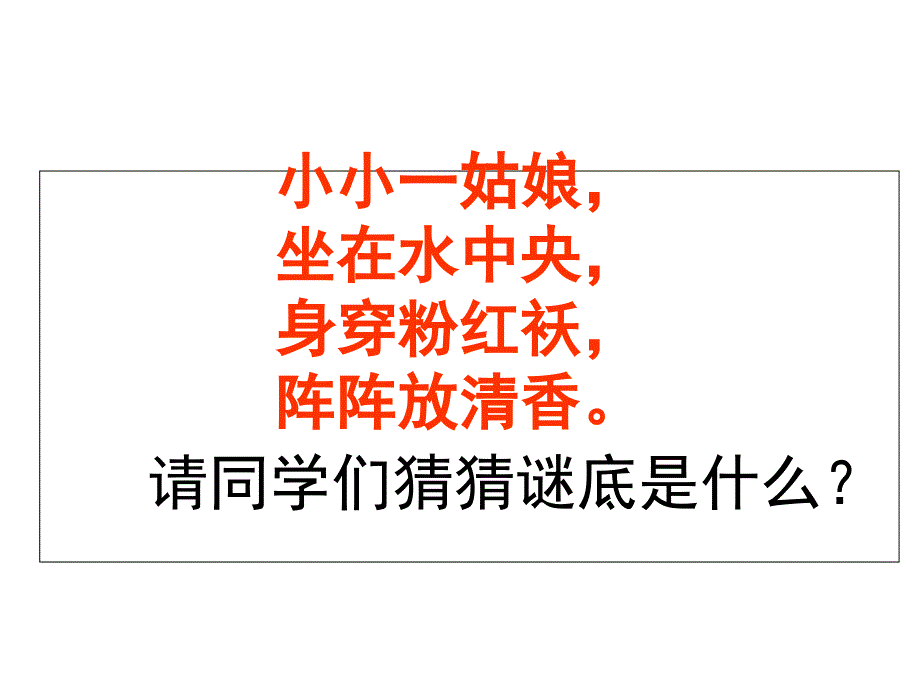 莲文化的魅力(综合性学习)_第1页