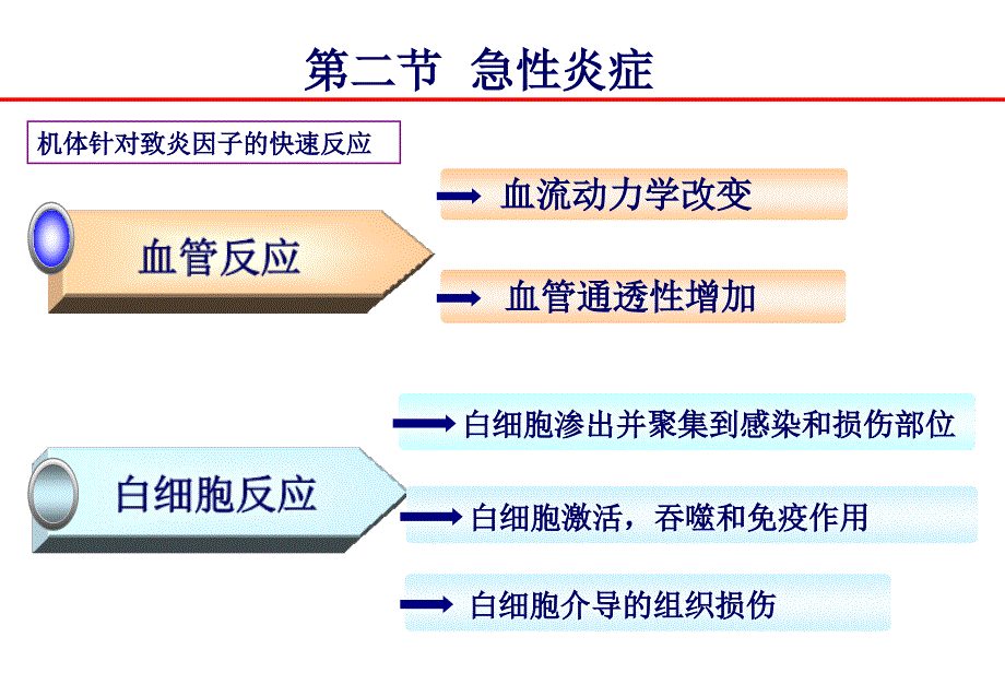 病理学课件：第4章-炎症2_第3页