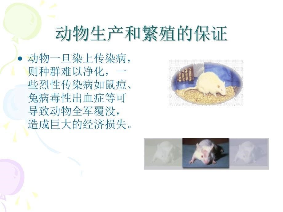 第二章实验动物标准化_第5页