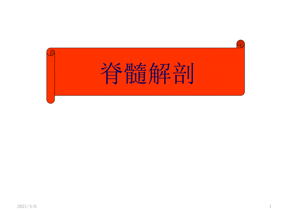 脊髓解剖文档资料_第1页