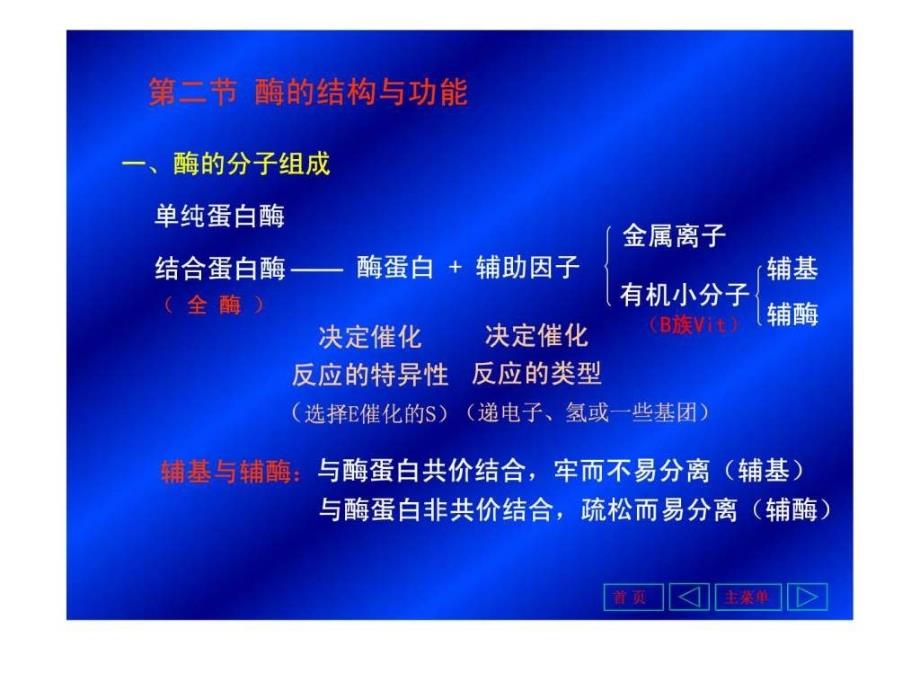 酶的结构与功能.ppt_第4页