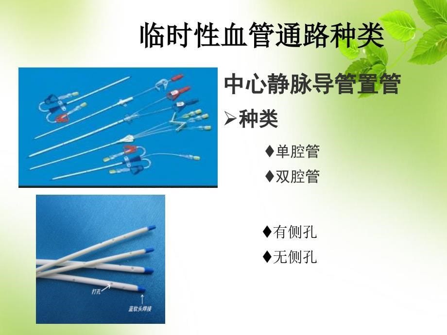 血液透析血管通路的建立与维护-PPT课件_第5页