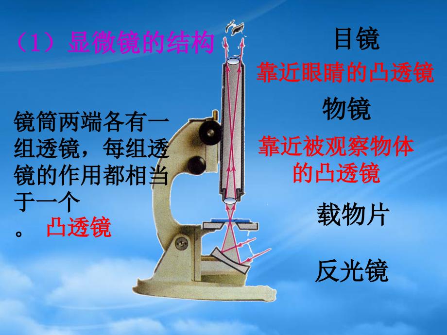 河南省开封县西姜寨乡第一初级中学八级物理上册5.5显微镜和望远镜课件5新新人教_第4页