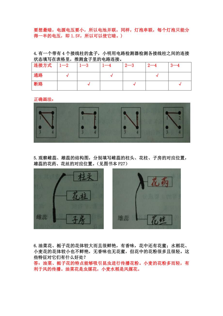 四年级下册科学探究题_第2页