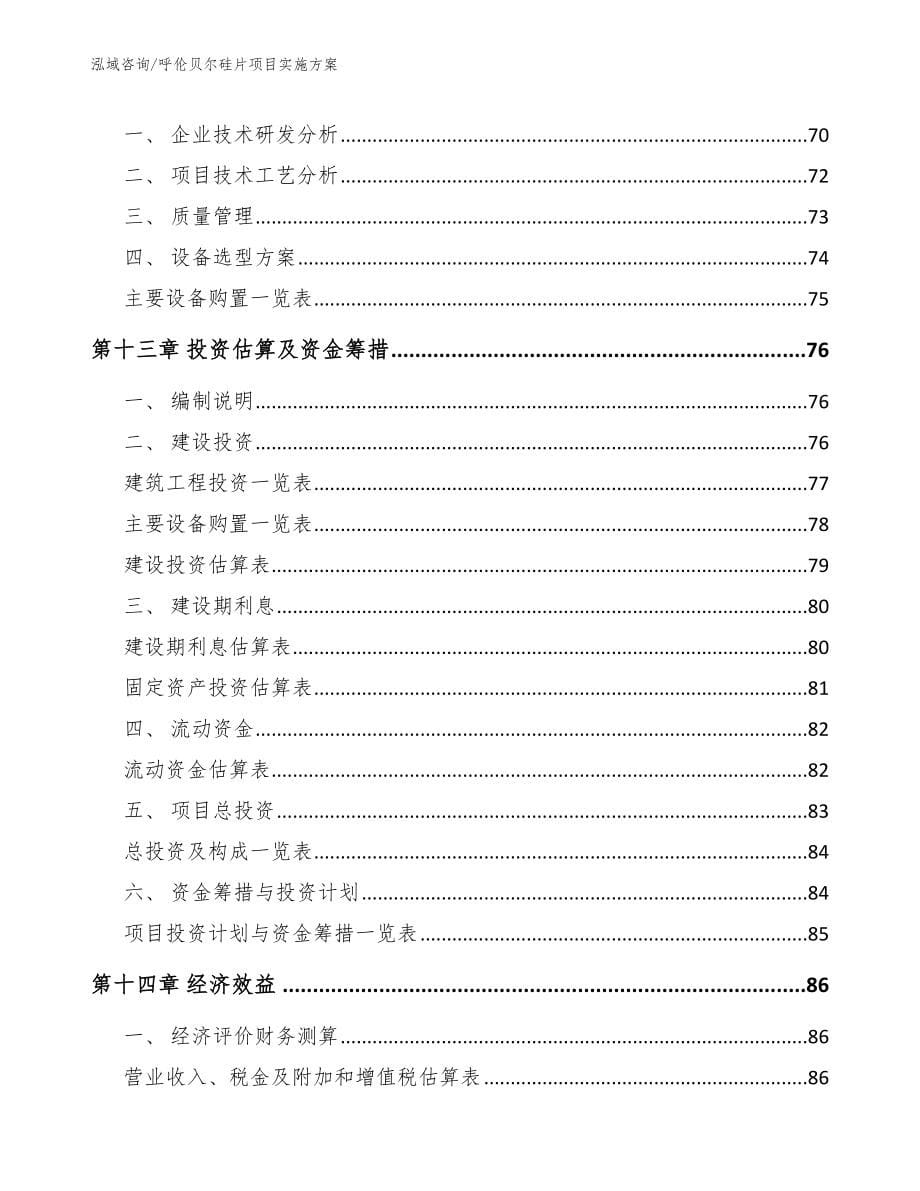 呼伦贝尔硅片项目实施方案（范文模板）_第5页