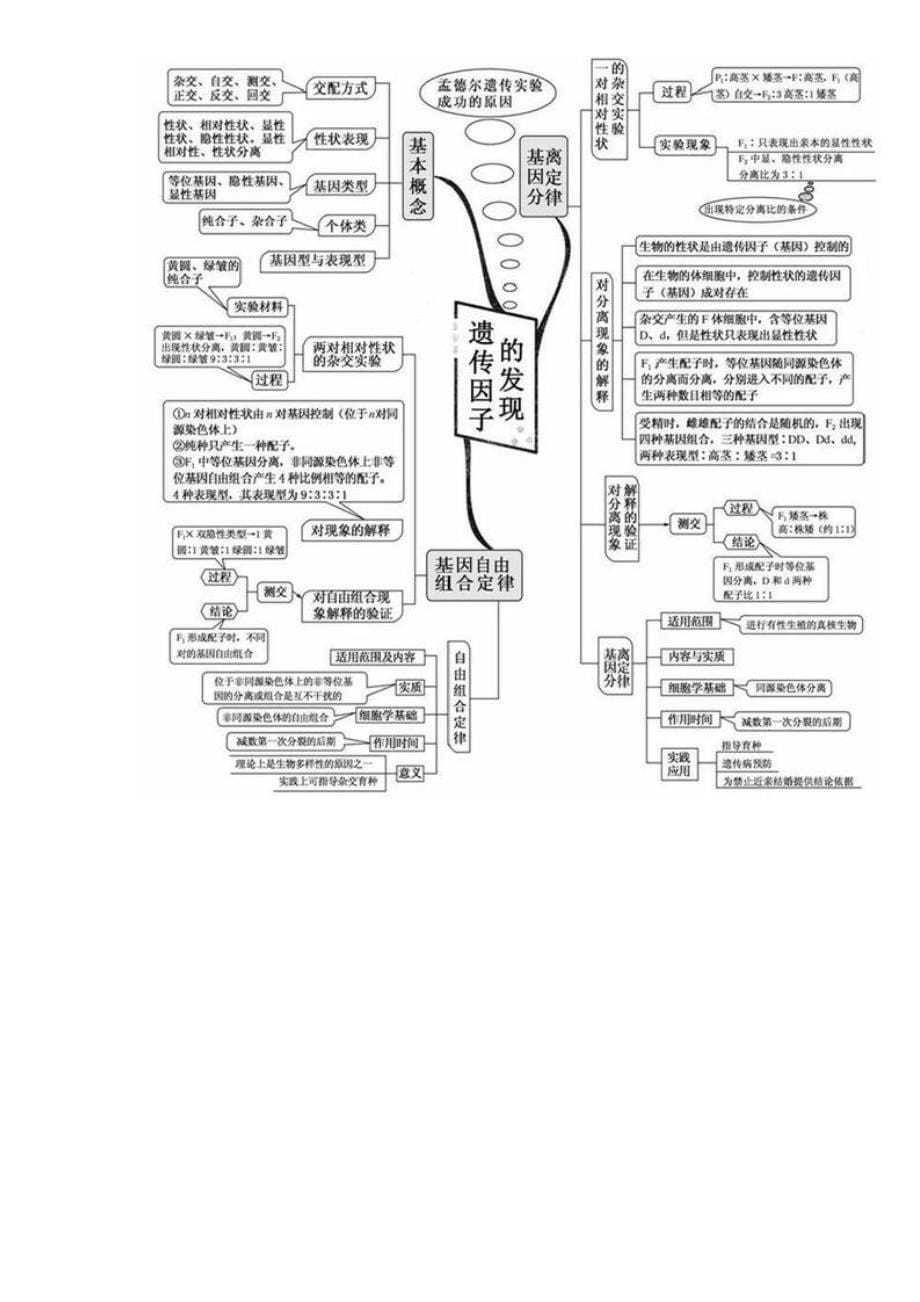 高中生物20张思维导图.docx_第5页