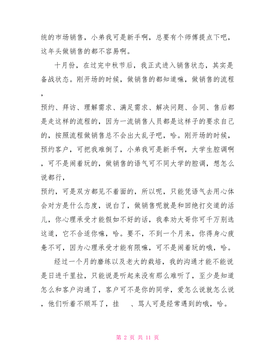 业务员总结软件销售业务员个人总结及小结_第2页