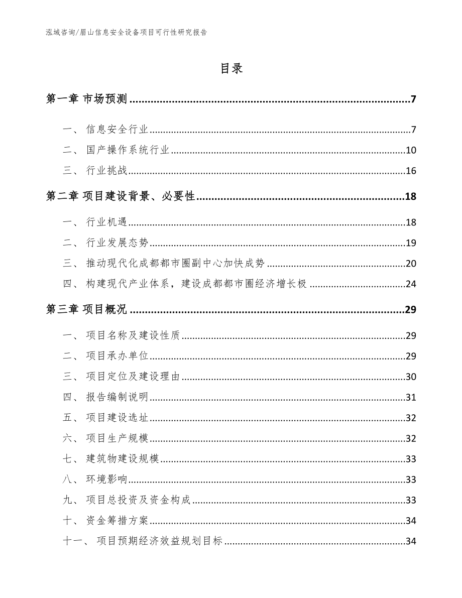 眉山信息安全设备项目可行性研究报告_第1页