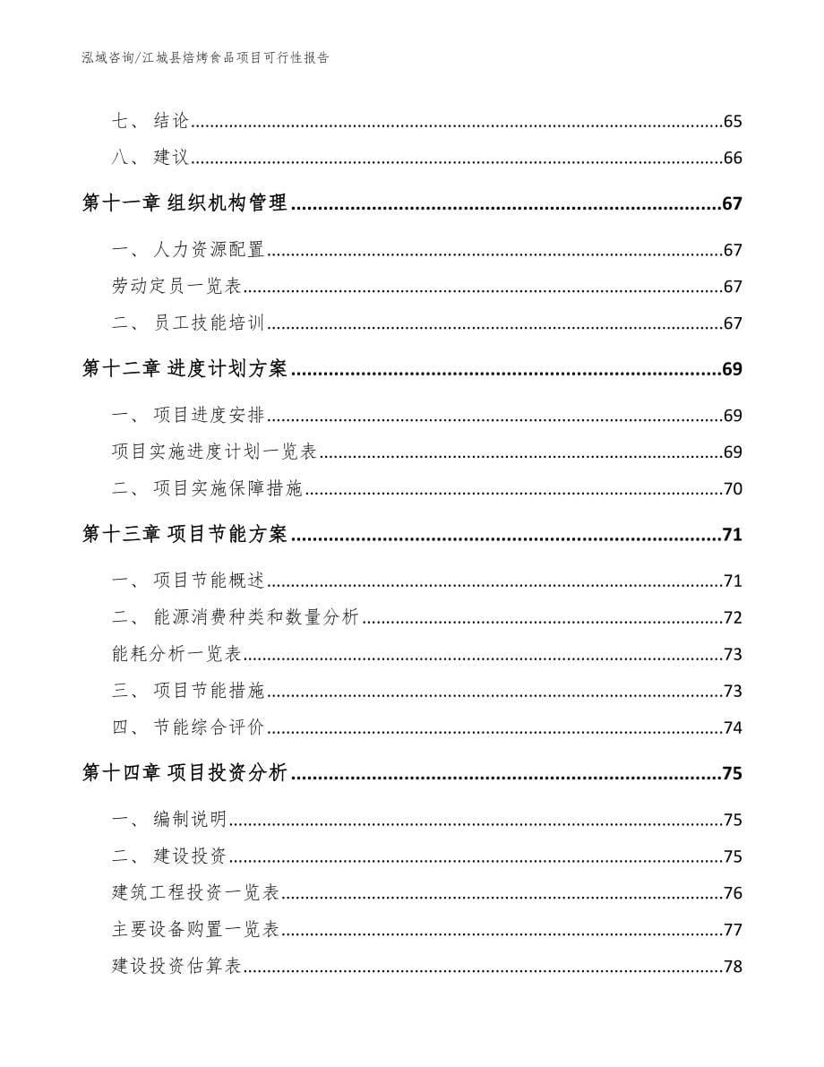 江城县焙烤食品项目可行性报告（范文模板）_第5页