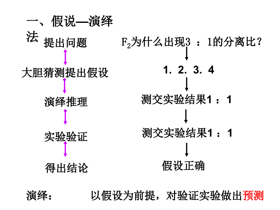 12孟德尔的豌豆杂交实验二_第2页