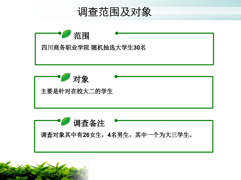 大学生服装消费调查PPT_第3页