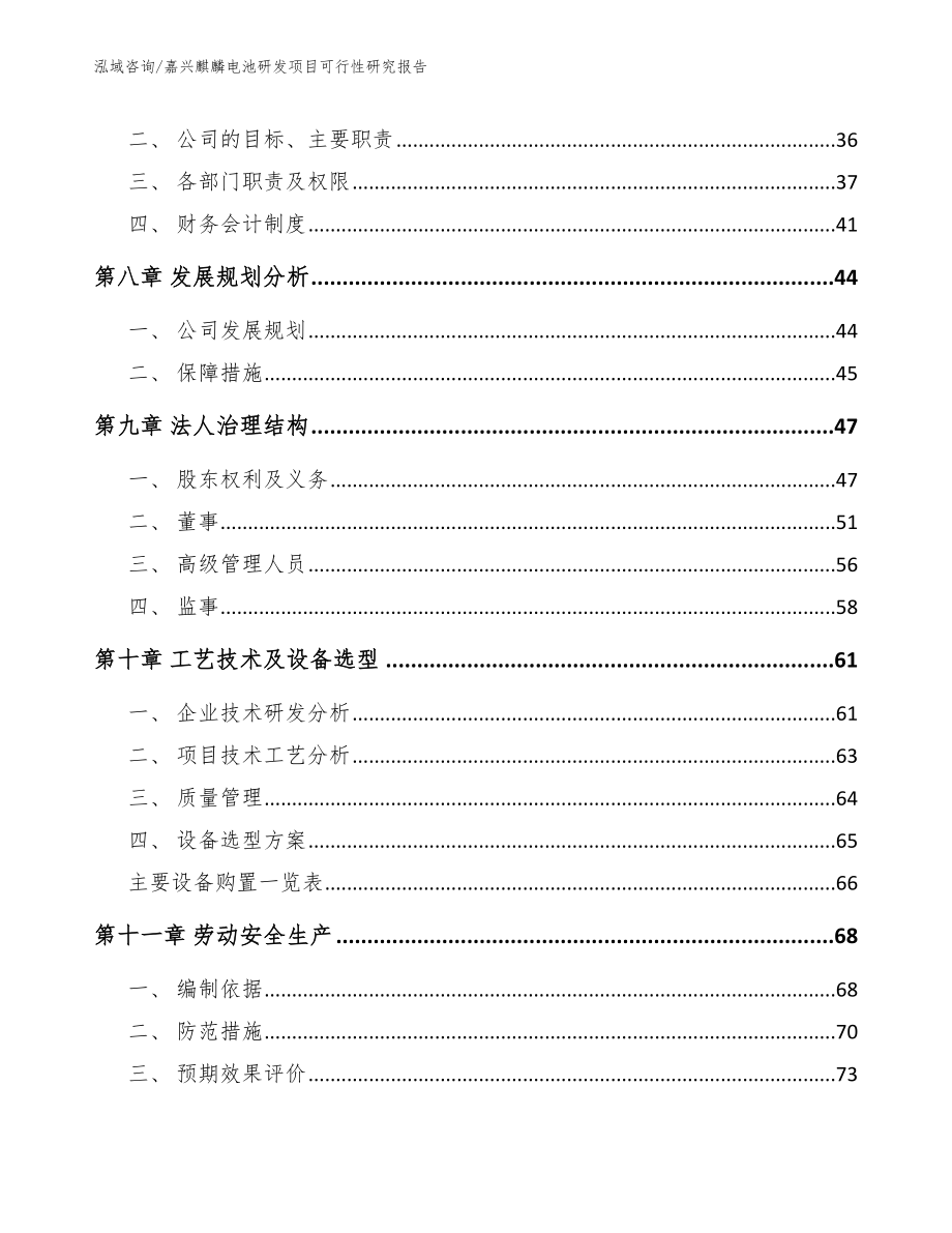 嘉兴麒麟电池研发项目可行性研究报告_第4页