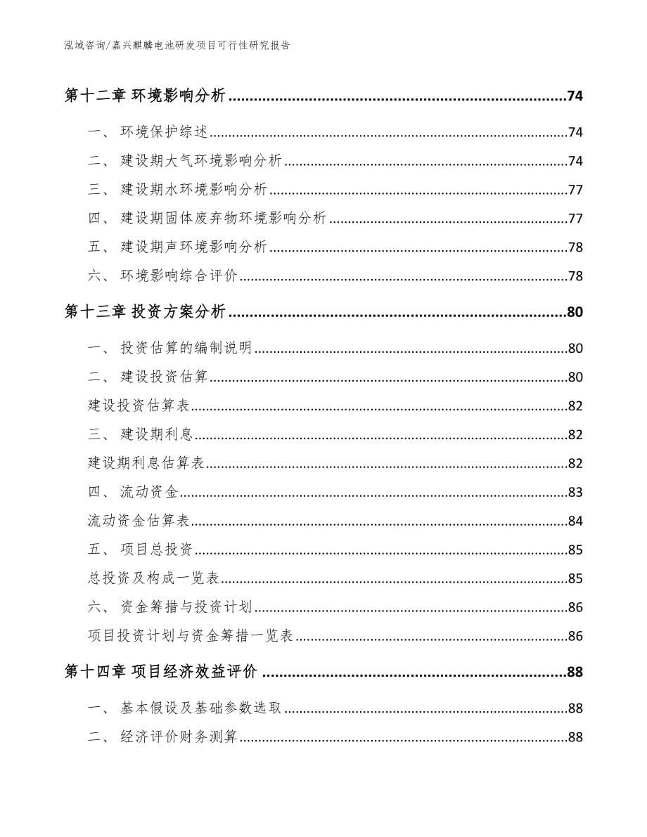 嘉兴麒麟电池研发项目可行性研究报告_第5页