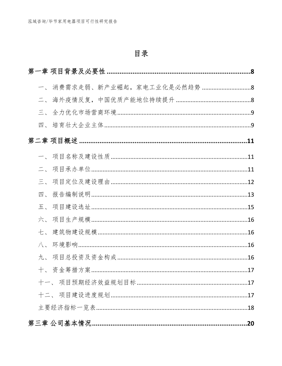 毕节家用电器项目可行性研究报告【参考范文】_第2页